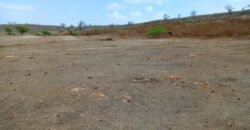 Terrain agricole 10.439 m² à vendre – Notto Diobass
