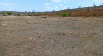 Terrain agricole 10.439 m² à vendre – Notto Diobass