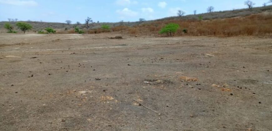 Terrain agricole 10.439 m² à vendre – Notto Diobass