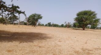 Terrain agricole 10.557 m² à vendre – Tassette