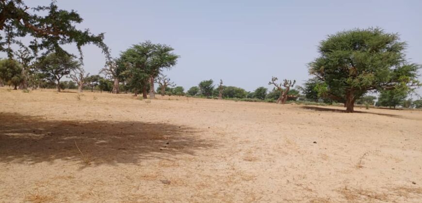 Terrain agricole 10.557 m² à vendre – Tassette