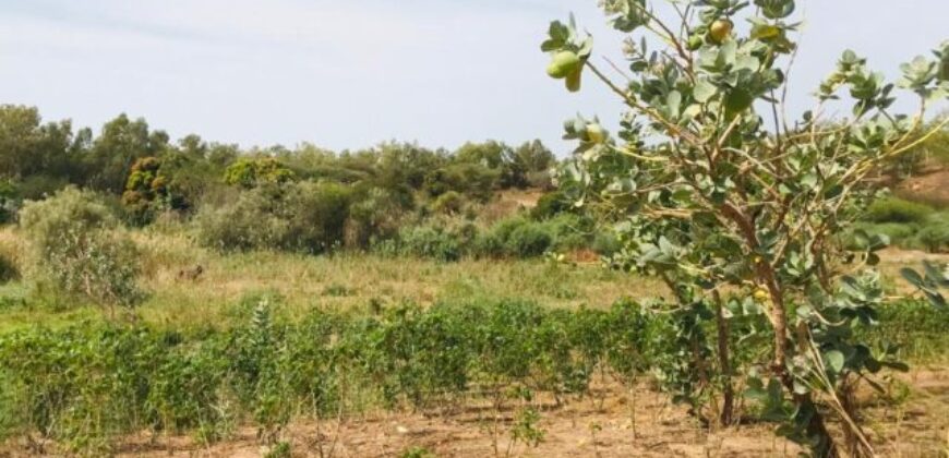Terrain agricole 10.576 m² à vendre – Ndiébène Gandiol