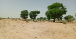 Terrain agricole 10.657 m² à vendre – Tassette