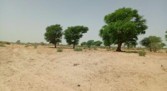 Terrain agricole 10.657 m² à vendre – Tassette