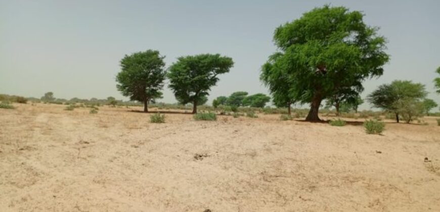 Terrain agricole 10.657 m² à vendre – Tassette