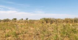 Terrain agricole 10.678 m² à vendre – Nguéniène