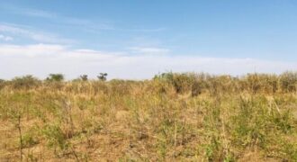Terrain agricole 10.678 m² à vendre – Nguéniène