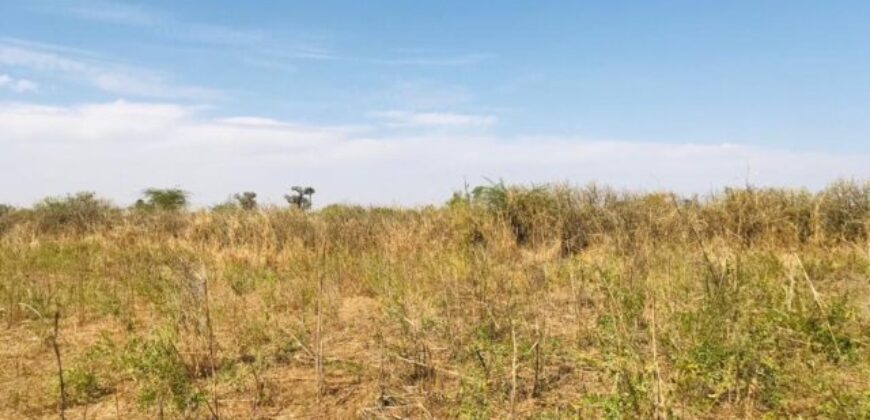 Terrain agricole 10.678 m² à vendre – Nguéniène
