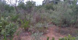 Terrain agricole 10.689 m² à vendre – Niama