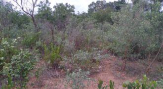 Terrain agricole 10.689 m² à vendre – Niama