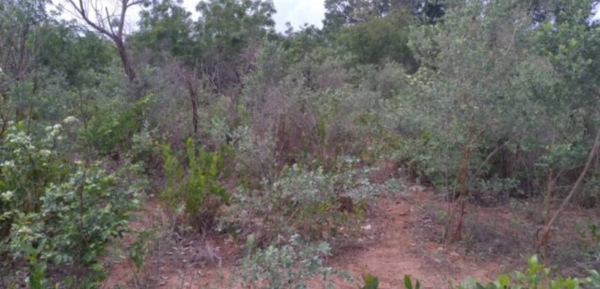 Terrain agricole 10.689 m² à vendre – Niama