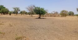 Terrain agricole 10.890 m² à vendre – Tassette