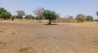 Terrain agricole 10.890 m² à vendre – Tassette