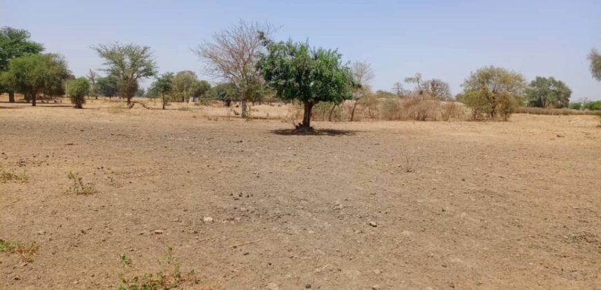 Terrain agricole 10.890 m² à vendre – Tassette