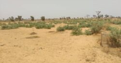 Terrain agricole 10.996 m² à vendre – Sindia