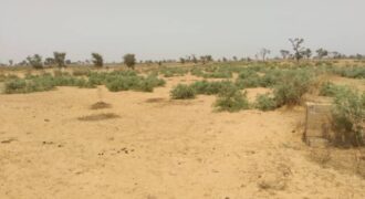 Terrain agricole 10.996 m² à vendre – Sindia