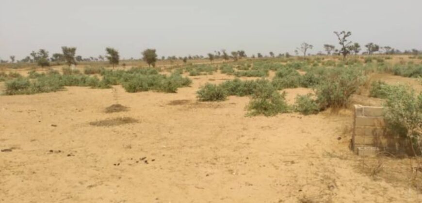 Terrain agricole 10.996 m² à vendre – Sindia