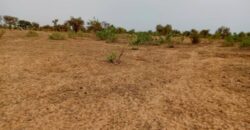 Terrain agricole 11.000 m² à vendre – Khombole