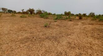 Terrain agricole 11.000 m² à vendre – Khombole