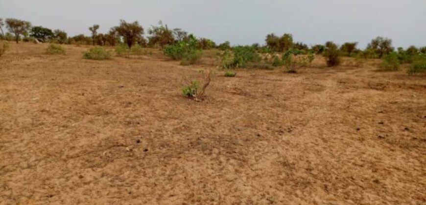 Terrain agricole 11.000 m² à vendre – Khombole