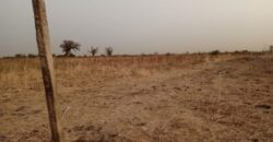 Terrain agricole 11.000 m² à vendre – Nguéniène