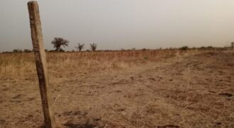Terrain agricole 11.000 m² à vendre – Nguéniène