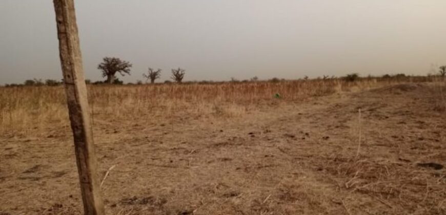 Terrain agricole 11.000 m² à vendre – Nguéniène
