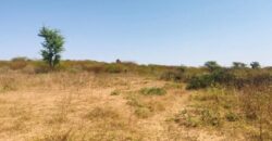 Terrain agricole 11.169 m² à vendre – Notto Diobass