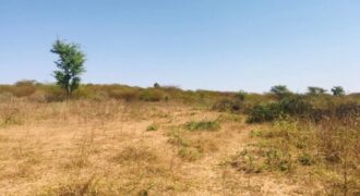 Terrain agricole 11.169 m² à vendre – Notto Diobass
