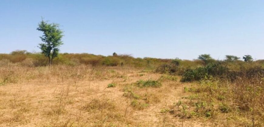 Terrain agricole 11.169 m² à vendre – Notto Diobass