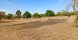 Terrain agricole 11.186 m² à vendre – Tassette