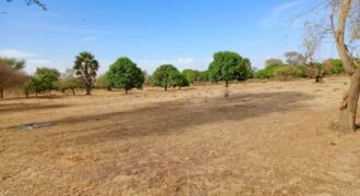 Terrain agricole 11.186 m² à vendre – Tassette