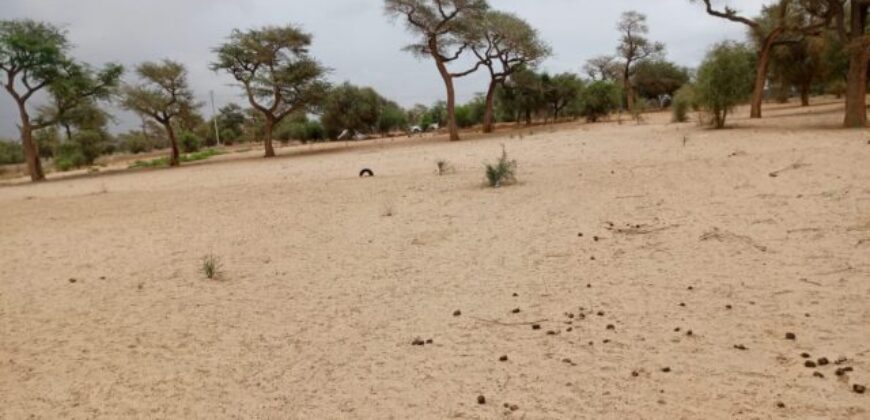 Terrain agricole 11.523 m² à vendre – Touba Toul