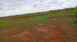 Terrain agricole 11.632 m² à vendre – Notto Diobass