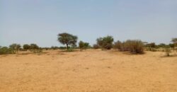 Terrain agricole 11.657 m² à vendre – Diokoul Diawrigne