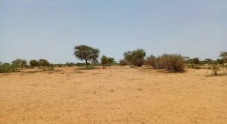Terrain agricole 11.657 m² à vendre – Diokoul Diawrigne