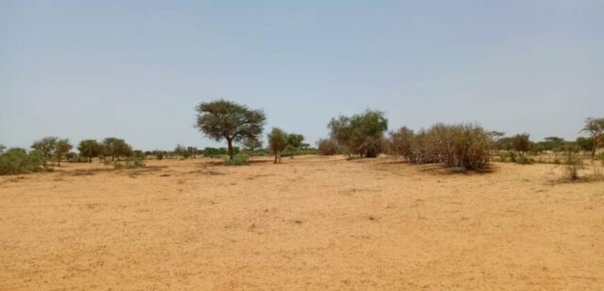 Terrain agricole 11.657 m² à vendre – Diokoul Diawrigne
