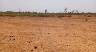 Terrain agricole 12.709 m² à vendre – Notto Diobass