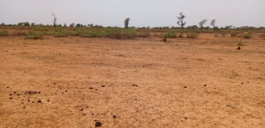 Terrain agricole 12.709 m² à vendre – Notto Diobass