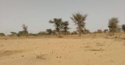 Terrain agricole 12.739 m² à vendre – Sindia