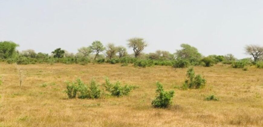 Terrain agricole 12.859 m² à vendre – Koul