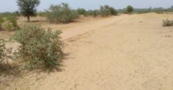 Terrain agricole 12.859 m² à vendre – Niakhar