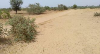 Terrain agricole 12.859 m² à vendre – Niakhar