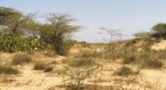Terrain agricole 12.877 m² à vendre – Gandiol