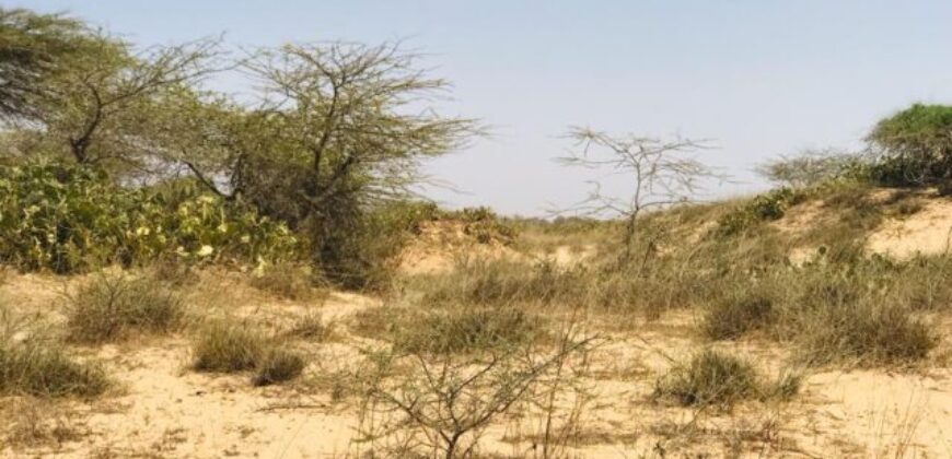 Terrain agricole 12.877 m² à vendre – Gandiol