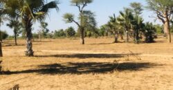 Terrain agricole 12.922 m² à vendre – Notto Diobass