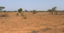 Terrain agricole 13.094 m² à vendre – Notto Diobass
