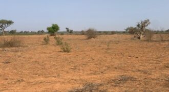 Terrain agricole 13.094 m² à vendre – Notto Diobass