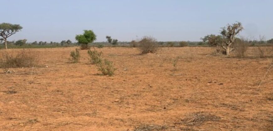 Terrain agricole 13.094 m² à vendre – Notto Diobass