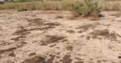 Terrain agricole 13.289 m² à vendre – Taïba Ndiaye